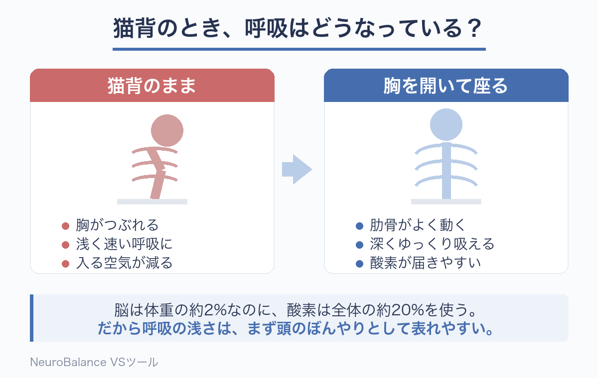猫背の姿勢と胸を開いた姿勢を左右に並べた比較図。猫背では胸がつぶれて浅く速い呼吸になり取り込む空気が減るのに対し、胸を開くと肋骨がよく動き深くゆっくり吸えて酸素が届きやすいことを示している