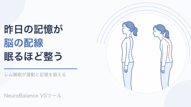 姿勢の良い人と猫背の人の背骨を比較しながら「昨日の記憶が脳の配線、眠るほど整う」と伝えるアイキャッチ画像