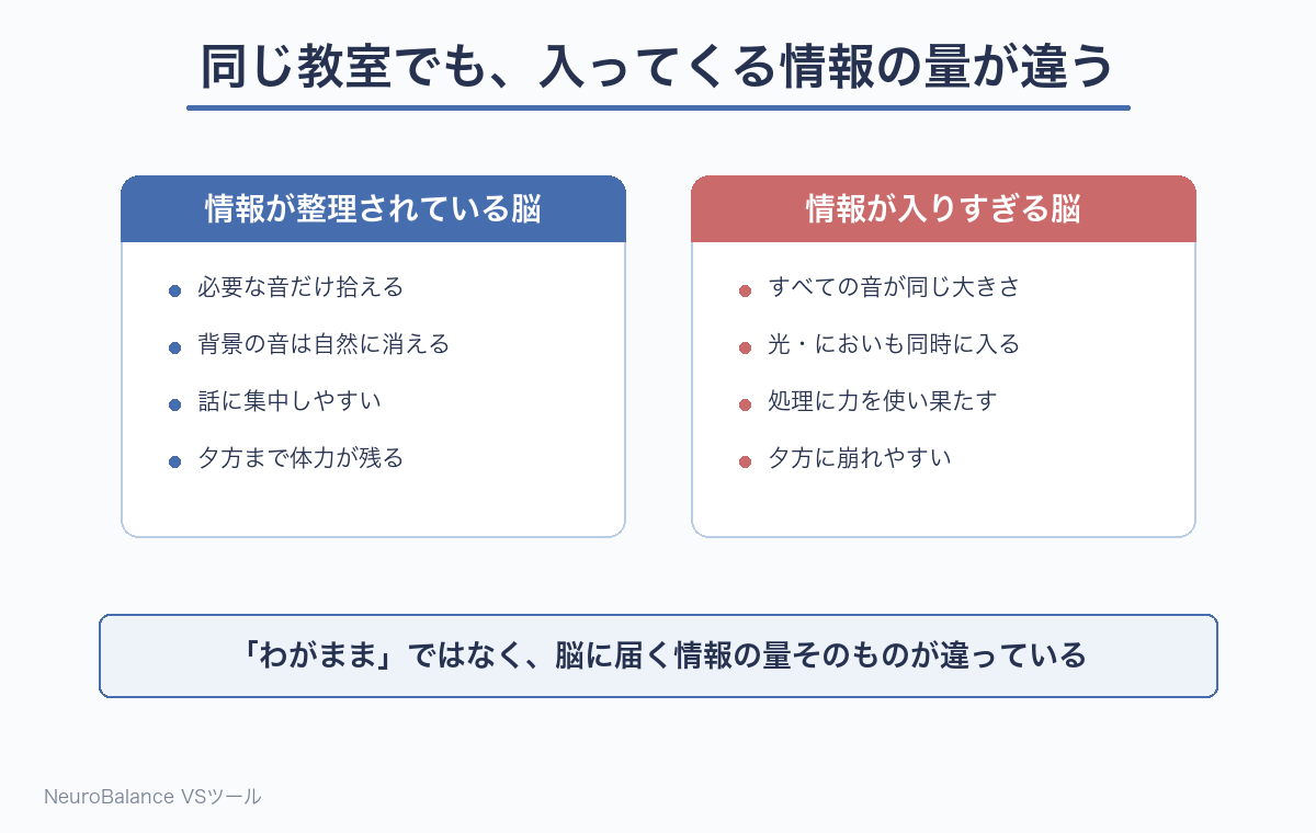 感覚過敏の比較図。情報が整理されている脳は必要な音だけを拾えるのに対し、情報が入りすぎる脳ではすべての音が同じ大きさで入り、処理に力を使い果たして夕方に崩れやすいことを示している