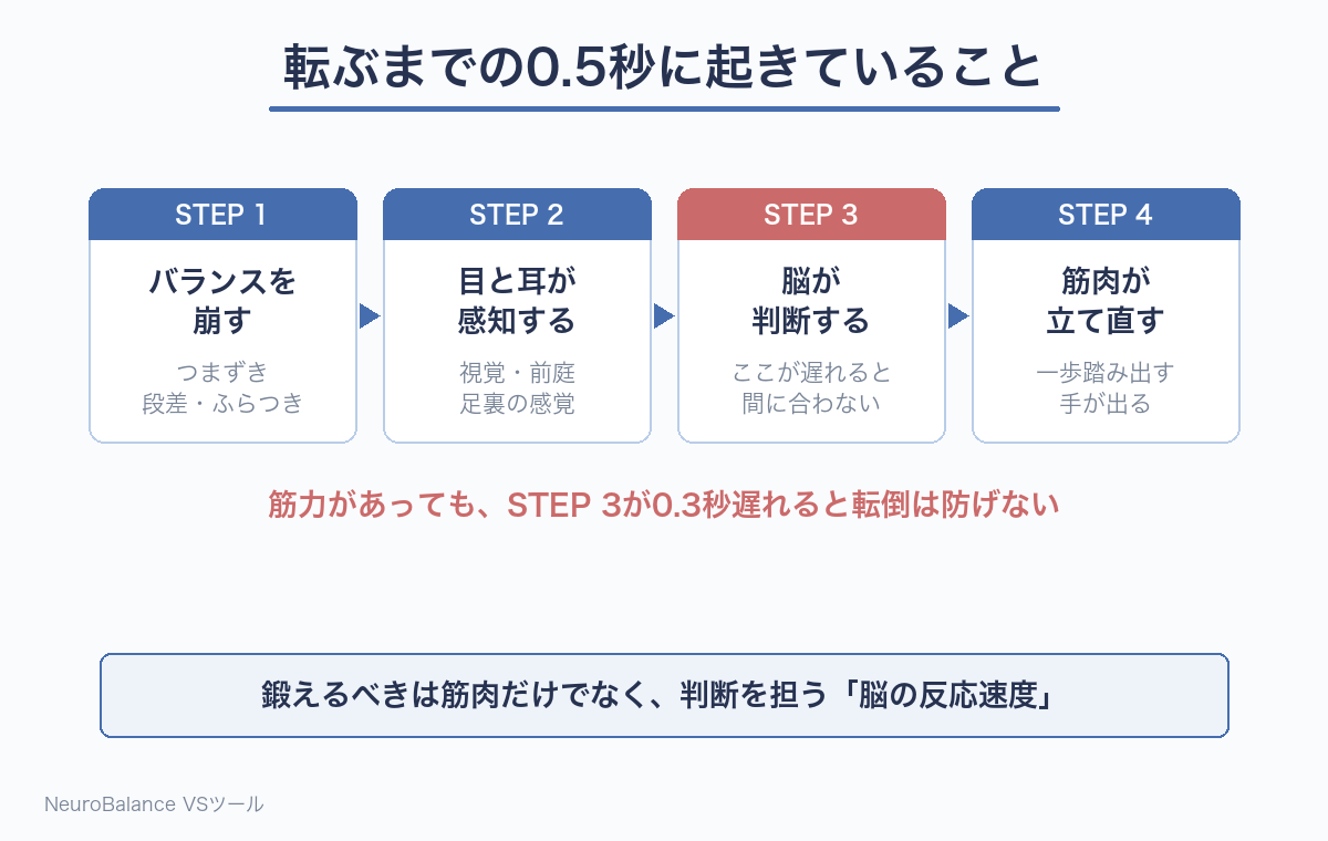 転倒が起きるまでの流れを示した図。バランスを崩す、目と耳が感知する、脳が判断する、筋肉が立て直すの4段階で、脳が判断する段階が0.3秒遅れると筋力があっても転倒を防げないことを示している