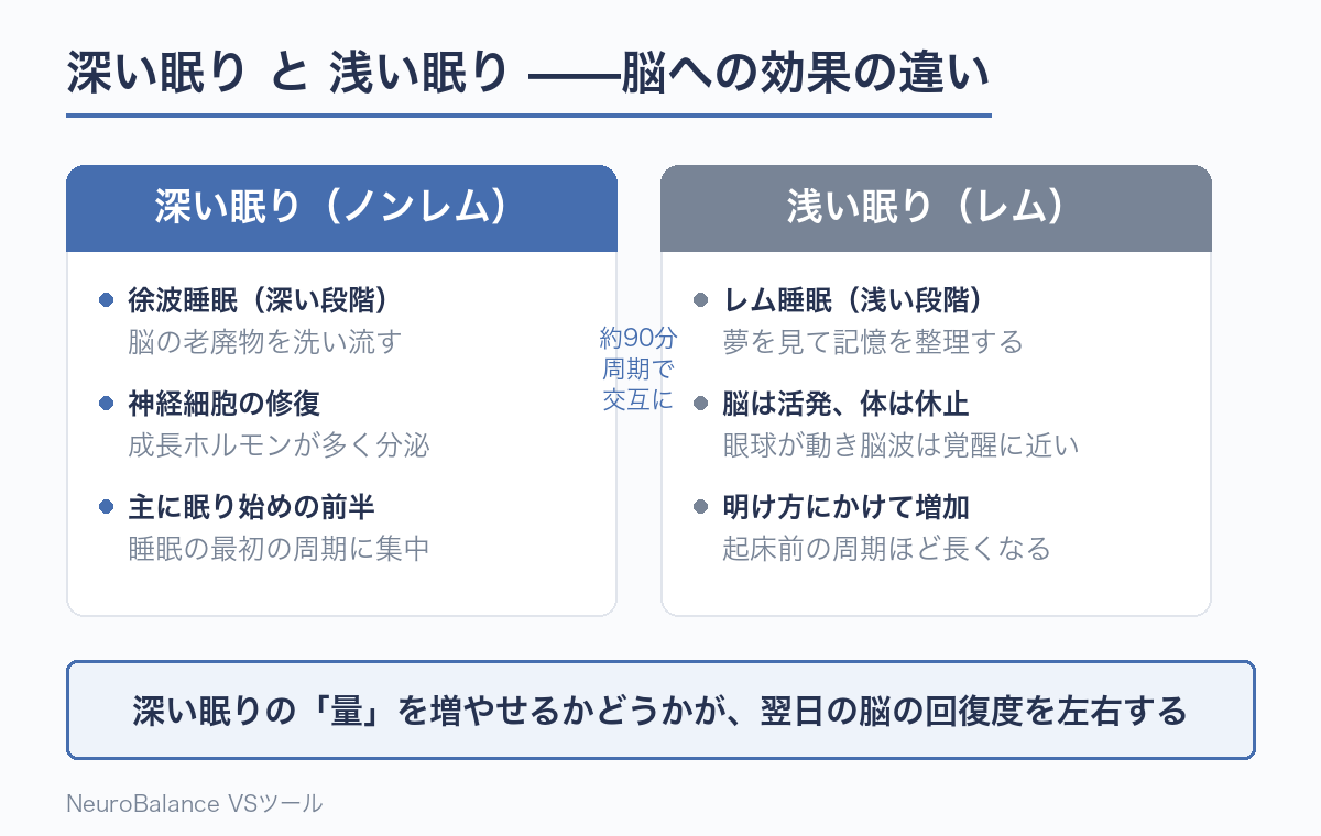 深い眠り(ノンレム睡眠)と浅い眠り(レム睡眠)の役割の違いを示した比較図