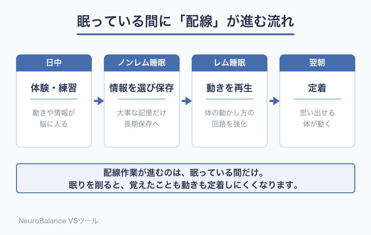 日中の体験からノンレム睡眠での情報保存、レム睡眠での動きの再生を経て翌朝に定着するまでの流れを4段階で示した図