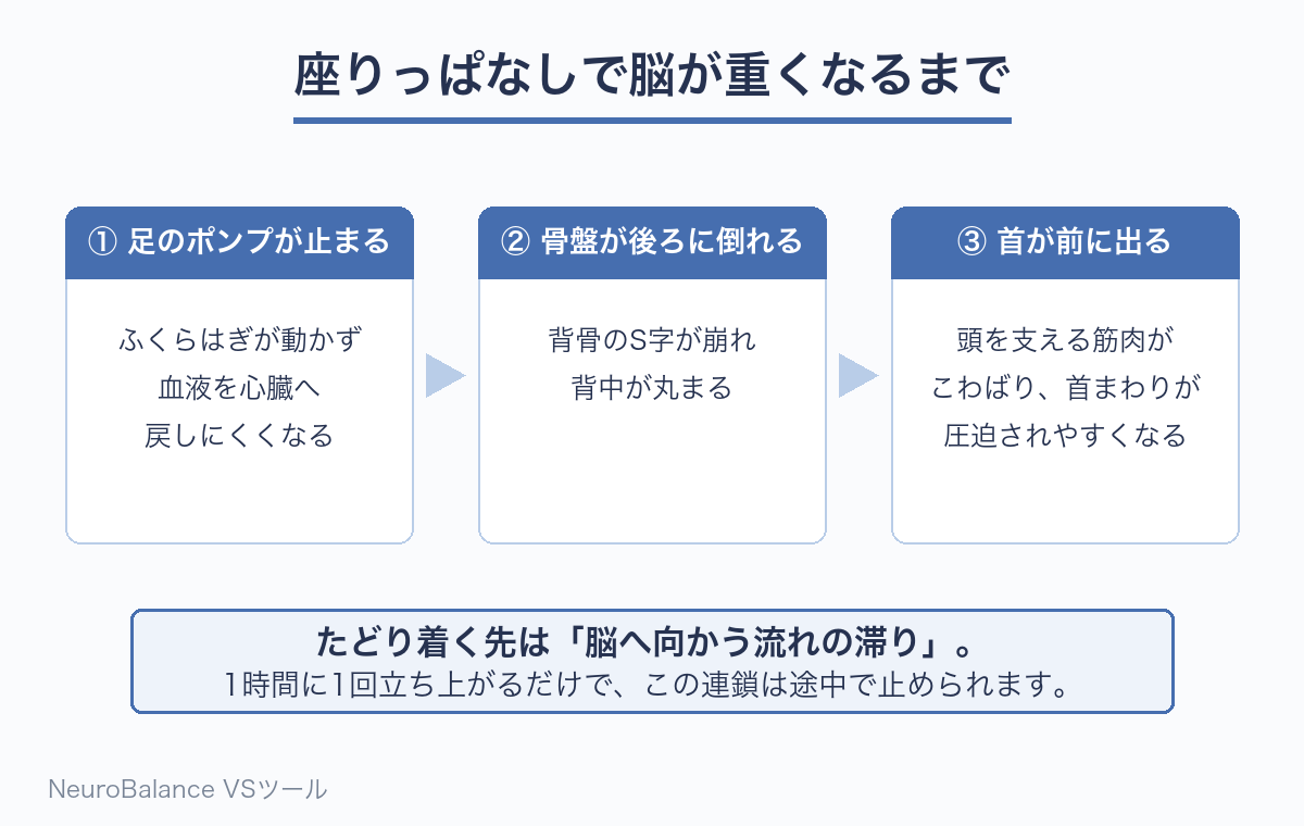 座り続けると、足のポンプが止まり、骨盤が後ろに倒れ、首が前に出るという3段階で脳への血流が滞りやすくなることを示した図