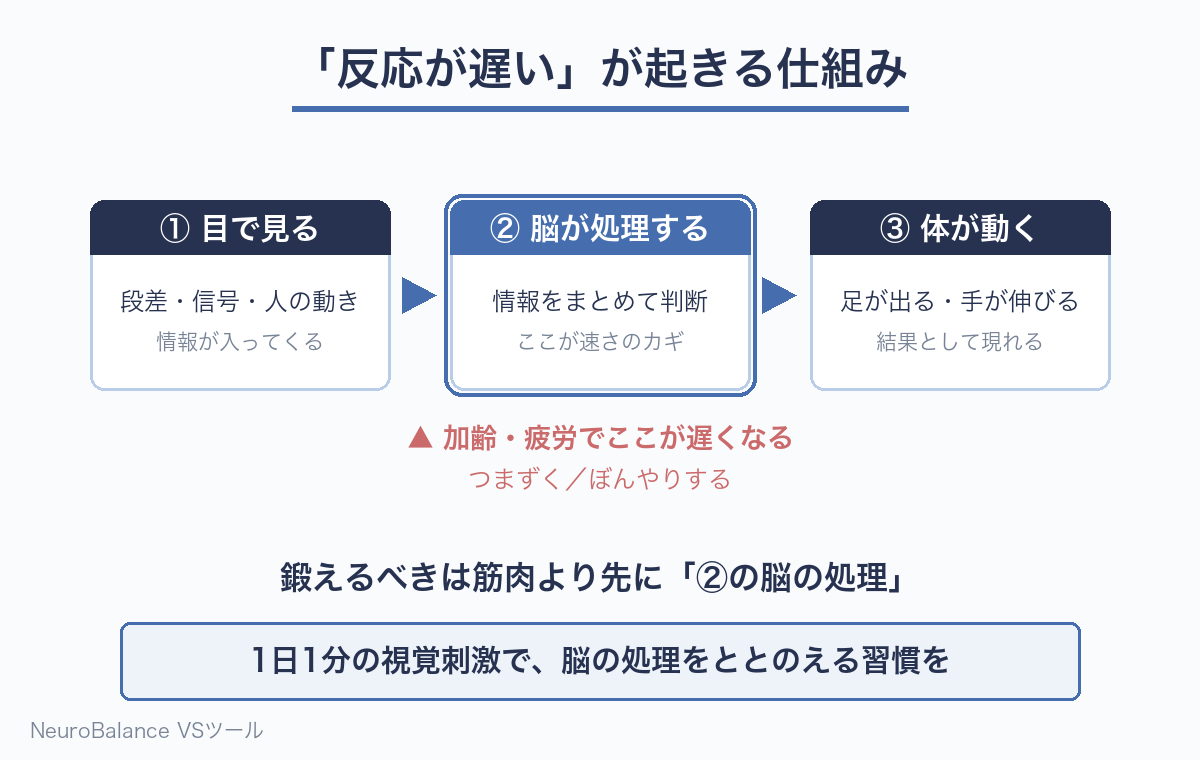 目で見た情報を脳が処理し体が動くまでの3段階を示した図。中央の「脳が処理する」段階が加齢や疲労で遅くなると、つまずきやぼんやりにつながることを説明している