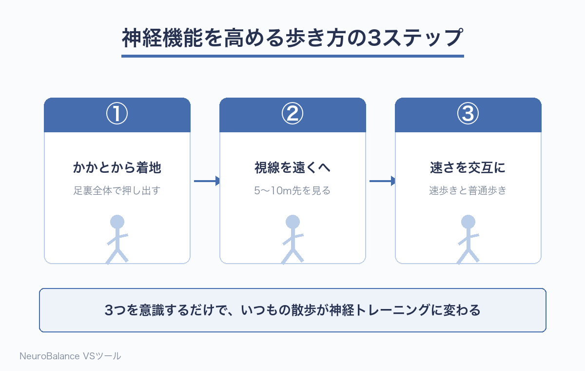 神経機能を高める歩き方の3ステップ図解:①かかとから着地して足裏全体で押し出す②視線を遠くへ向ける③速歩きと普通歩きを交互にする