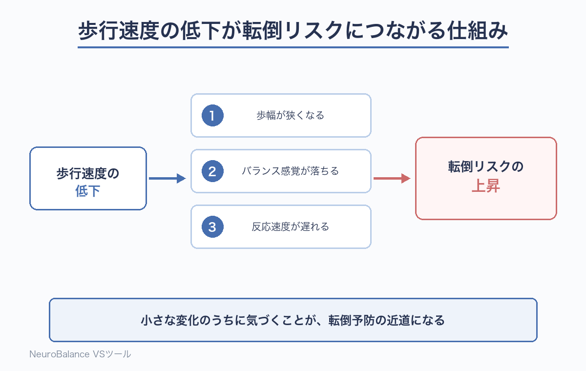 歩行速度の低下が転倒リスクにつながる仕組みを示す図。歩幅が狭くなる・バランス感覚が落ちる・反応速度が遅れるの3つを経て転倒リスクが上昇する流れ