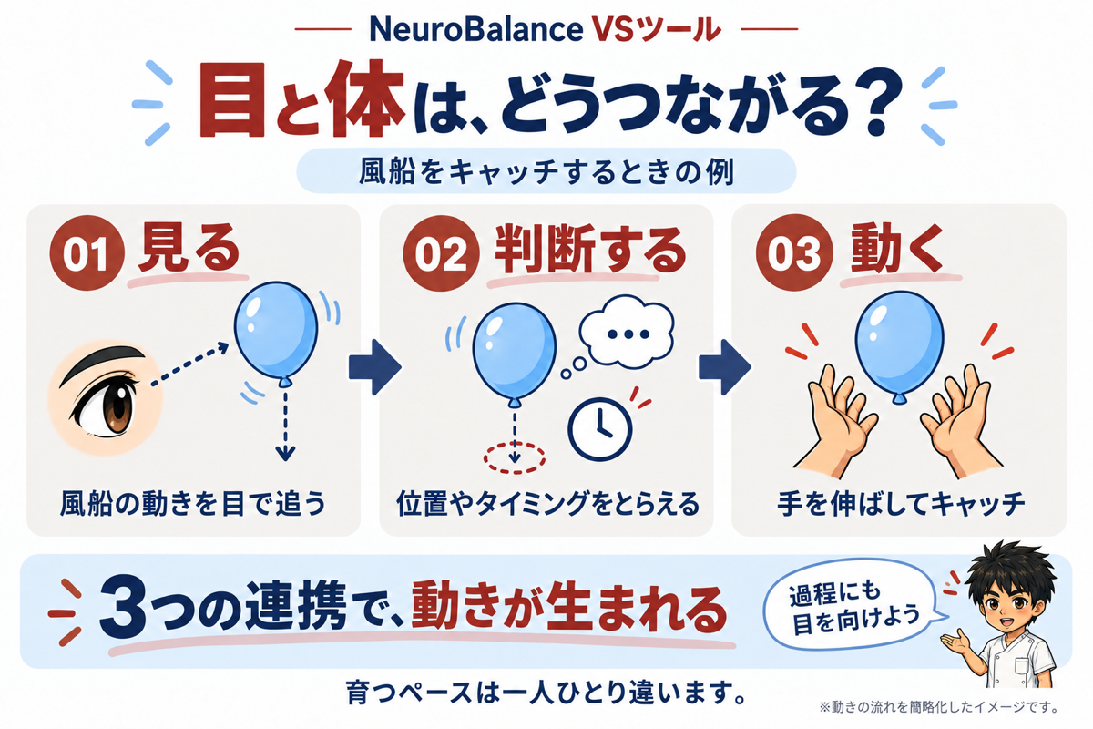 目と体はどうつながる？風船キャッチの例。01見る（風船の動きを目で追う）、02判断する（位置やタイミングをとらえる）、03動く（手を伸ばしてキャッチ）